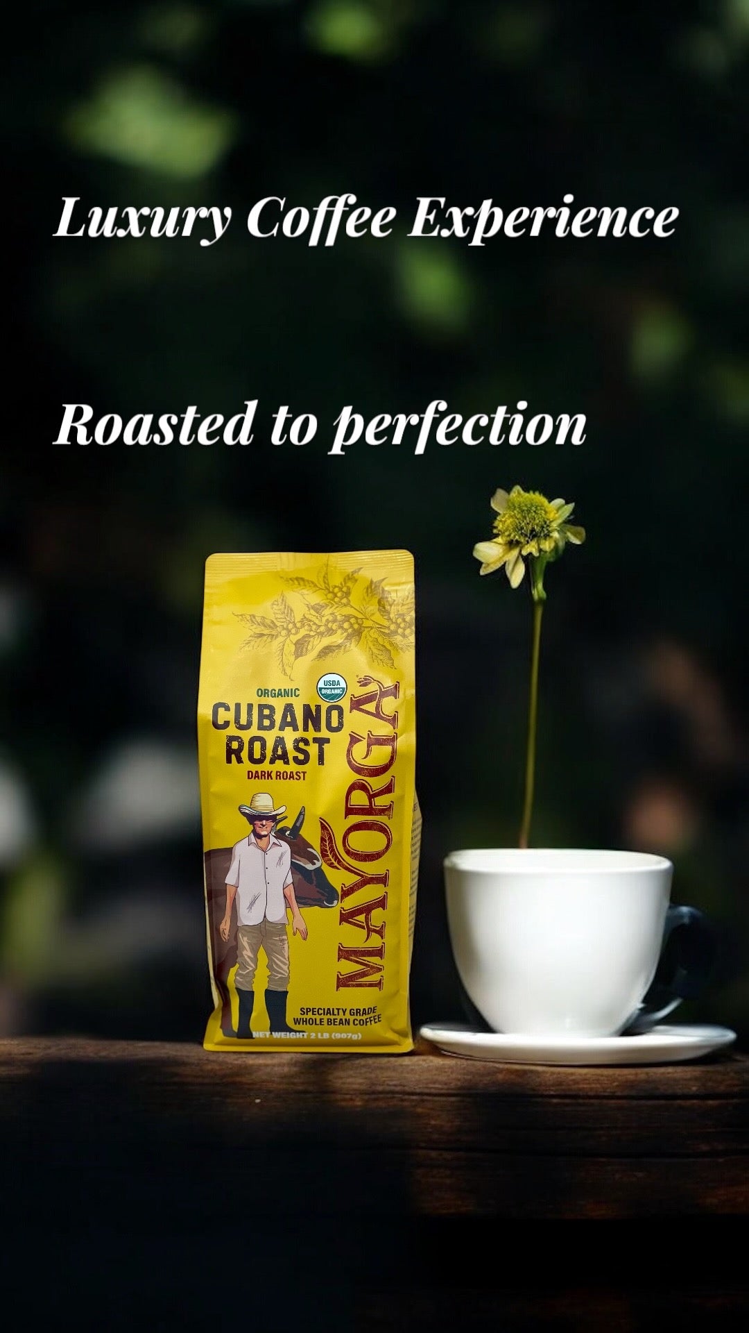 Mayorga Organic Cubano Roast Coffee – 2 lb Whole Bean, Dark Roast, Bold & Smooth, USDA Certified