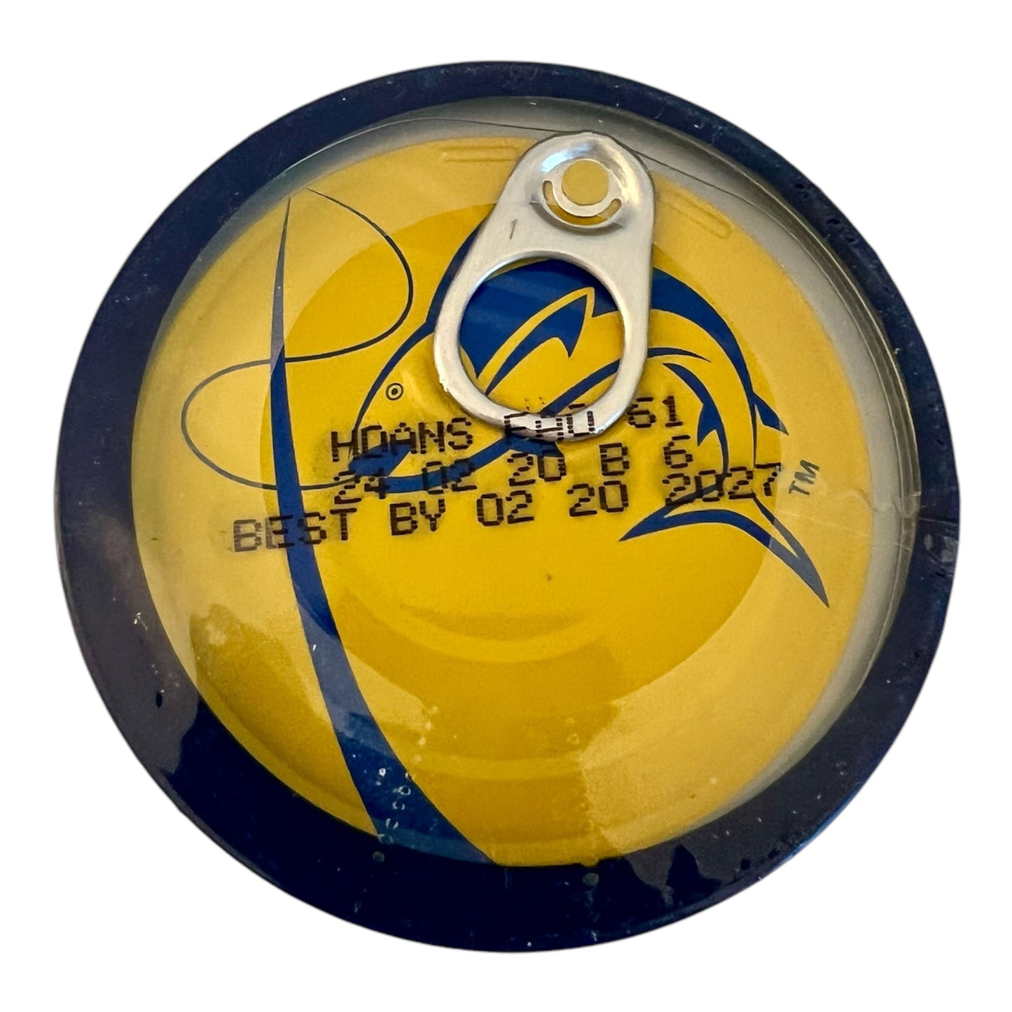 Wild Planet Albacore Wild Tuna – Sustainably Pole & Line Caught, No Water or Oil Added, High-Protein Canned Tuna (6 x 5oz Cans)